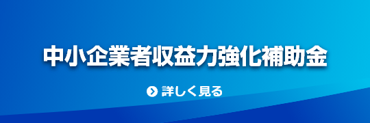 中小企業者収益力強化補助金